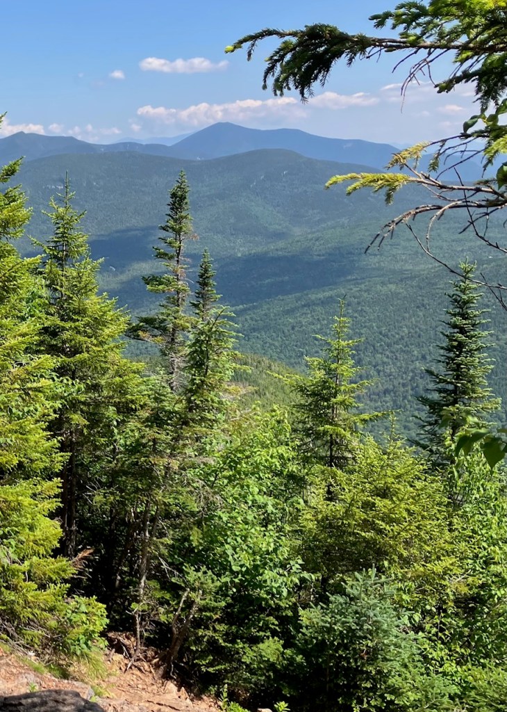 View to the north over the Piecewise Wilderness.
