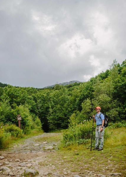 Mount Monadnock timber harvest tour