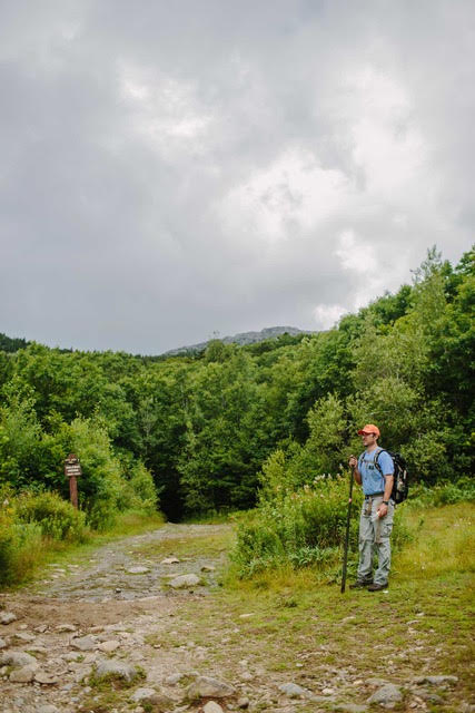 Mount Monadnock timber harvest tour