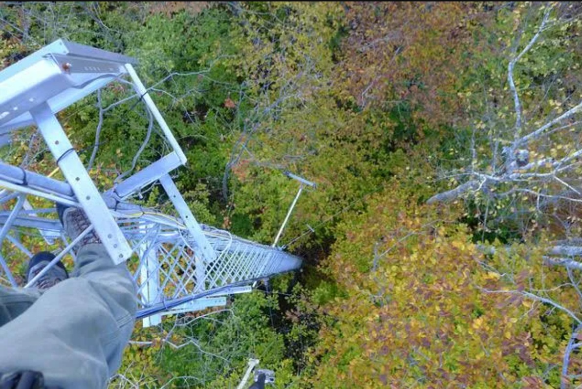Researchers record measurements high above the canopy in Bartlett Experimental Forest. (Photo courtesy of Northern Arizona University) 2026
