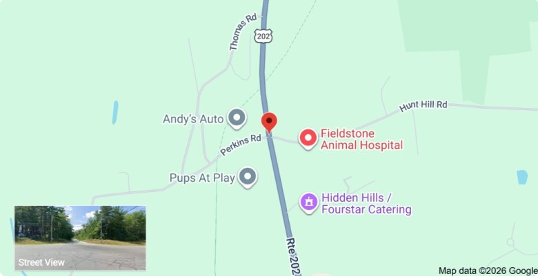The intersection of Route 202 and Perkins Road. 