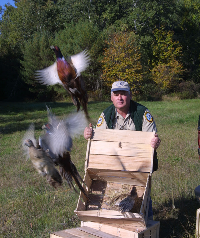 Pheasant hunting season is set to begin Oct. 1