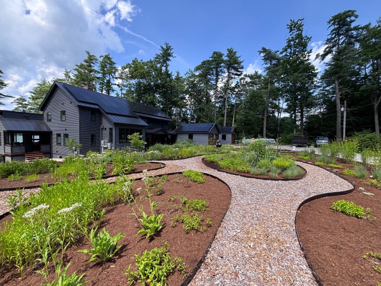 The LeBoeuf family has started the process of transforming their yard into native plant gardens with walkways.