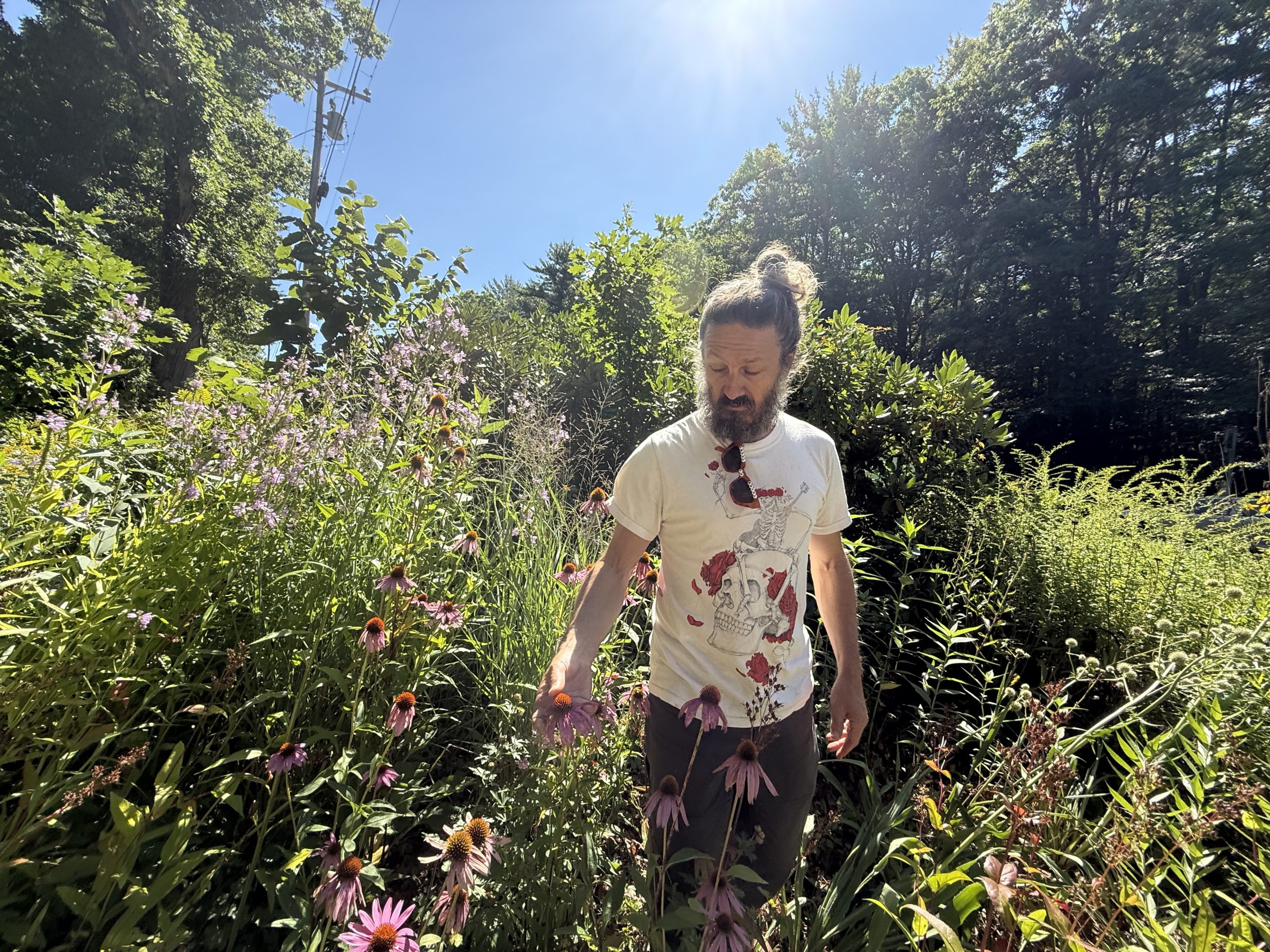Aaron Abitz of Fassett Farm walks through demonstration gardens of native plants.