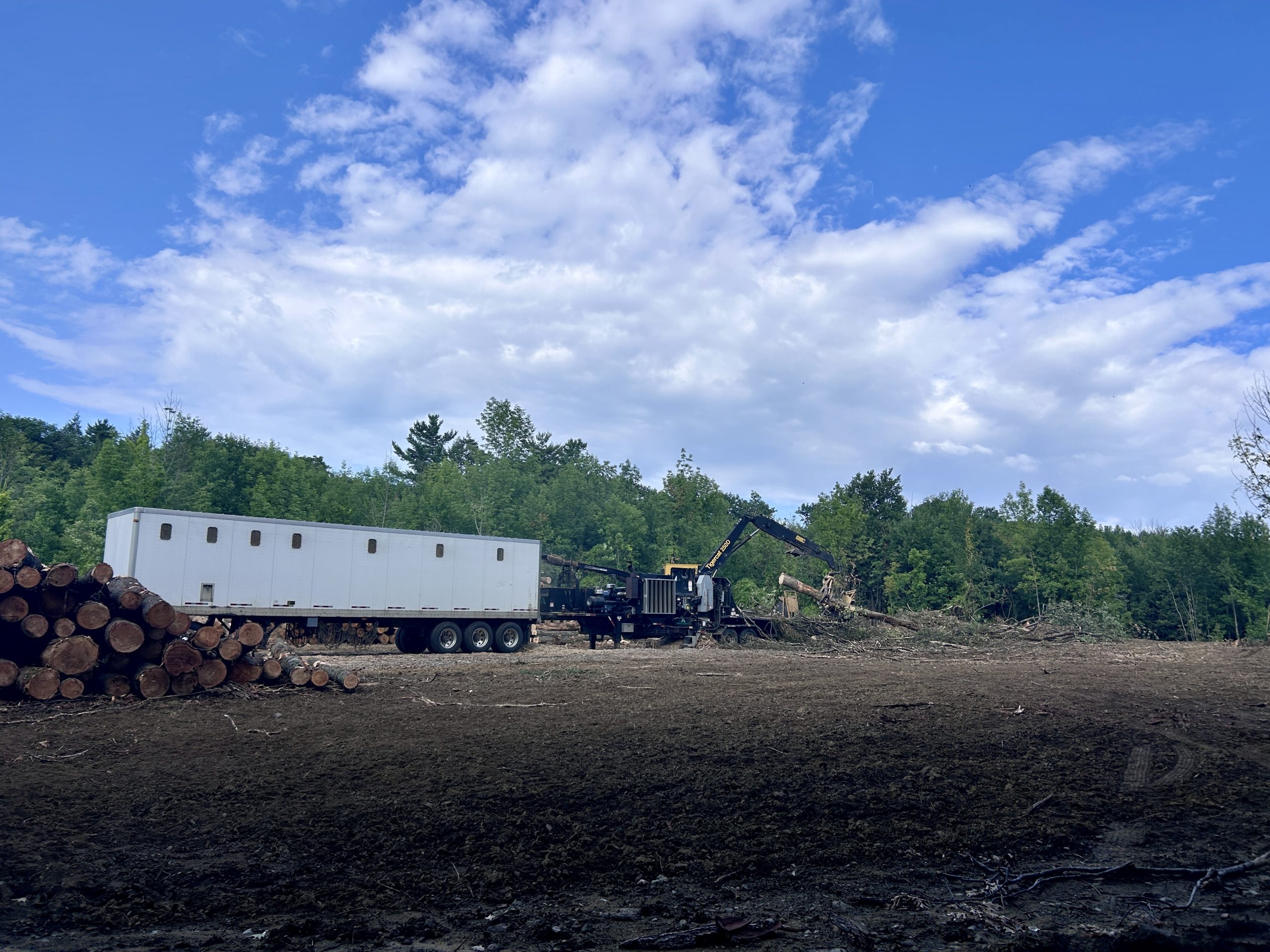 Heavy machinery feeds felled trees into a woodchipper on the old Barry orchard property in Temple on Aug. 13.
