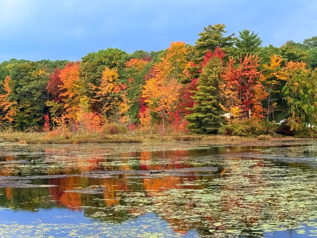 Water views from the Monadnock Rail Trail in Jaffrey reflect the foliage.