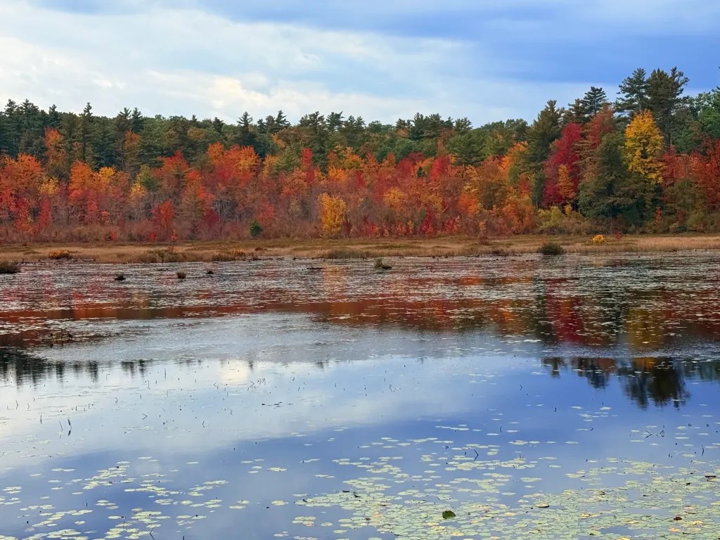 Water views from the Monadnock Rail Trail in Jaffrey reflect the foliage.