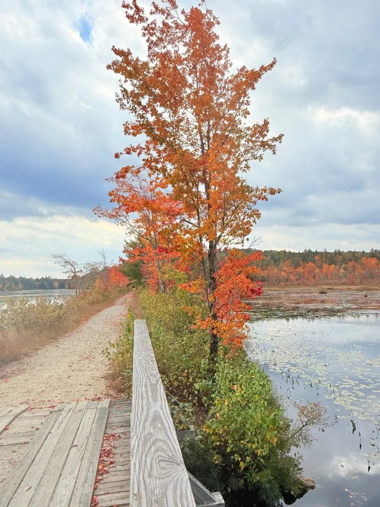 Color along the Mondanock Rail Trail bridge.