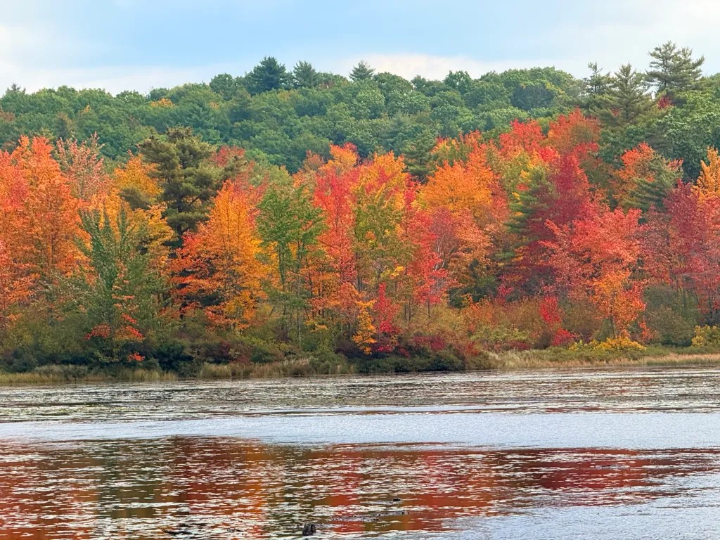 Water views from the Monadnock Rail Trail in Jaffrey reflect the foliage.