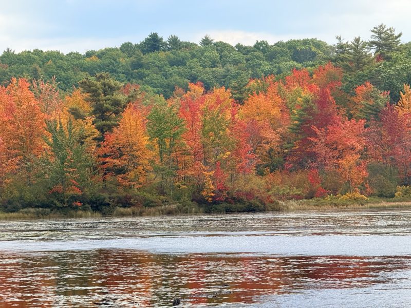 Water views from the Monadnock Rail Trail in Jaffrey reflect the foliage. Brilliant fall shades are in full bloom across the Monadnock region as much of New Hampshire nears peak leaf color.