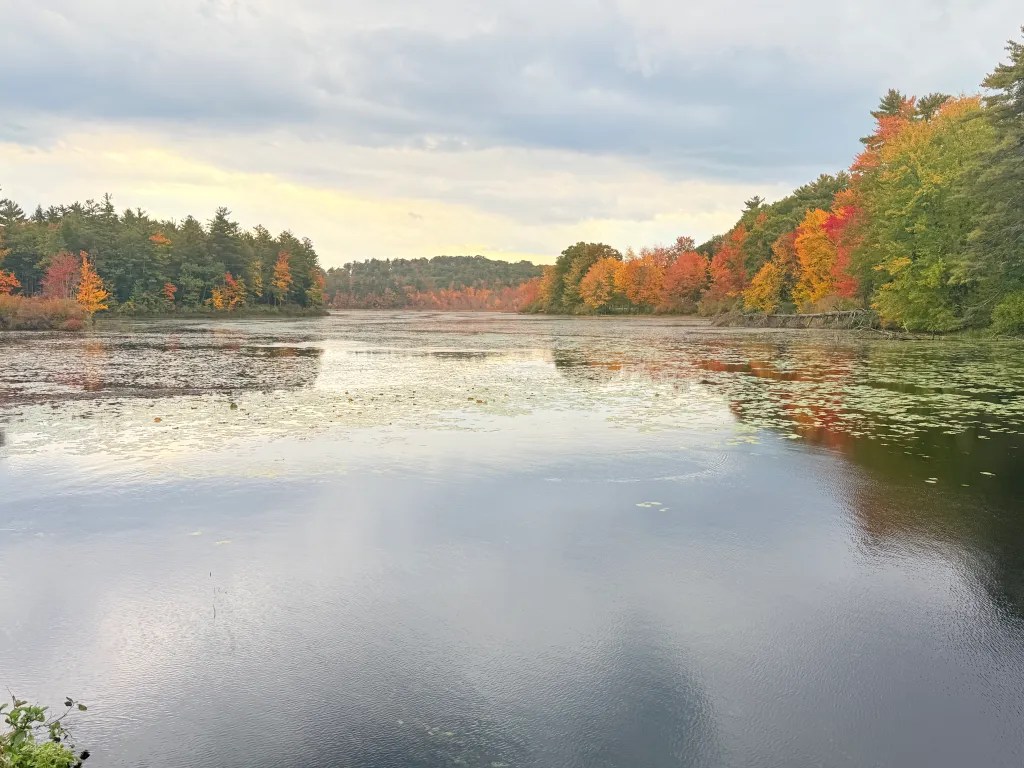 Color along the Monadnock Rail Trail in Jaffrey.