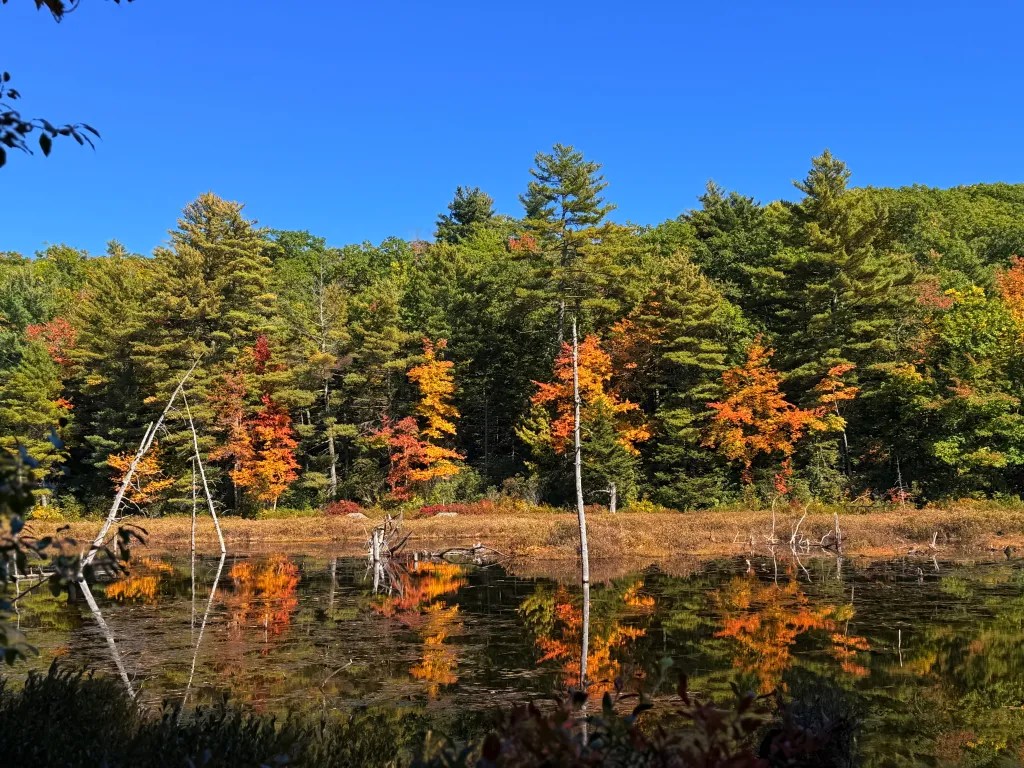 Views from the Wapack Trail in New Ipswich of Binney Hill Pond.
