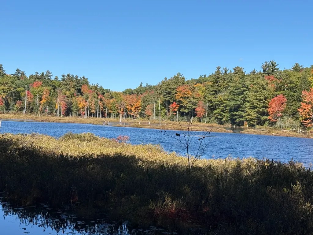 Views from the Wapack Trail in New Ipswich of Binney Hill Pond.