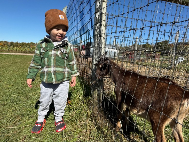 Giovanni Machado of Ashby feeds some grass to a petting zoo goat at Washburn's Windy Hill Orchard in Greenville. 