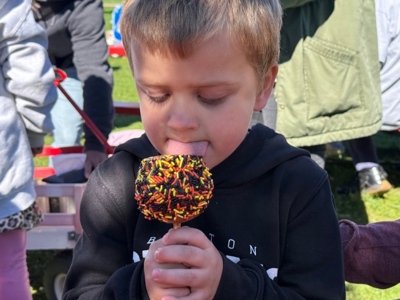acob Hoisington of West Boylston, Mass., enjoys a candy apple at Washburn's Windy Hill Orchard in Greenville. 