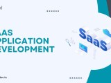 Saas Application Development Process Benefits Costs 2025