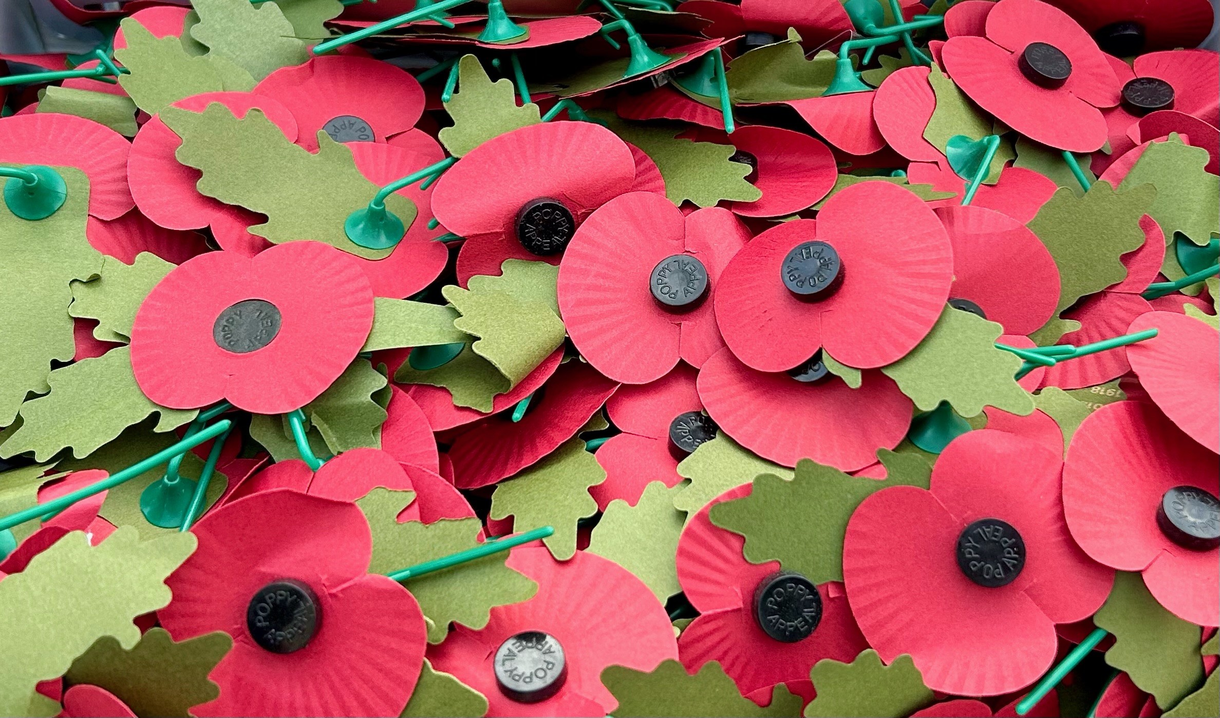 Poppies on display at Poppy Appeal stand in Leeds