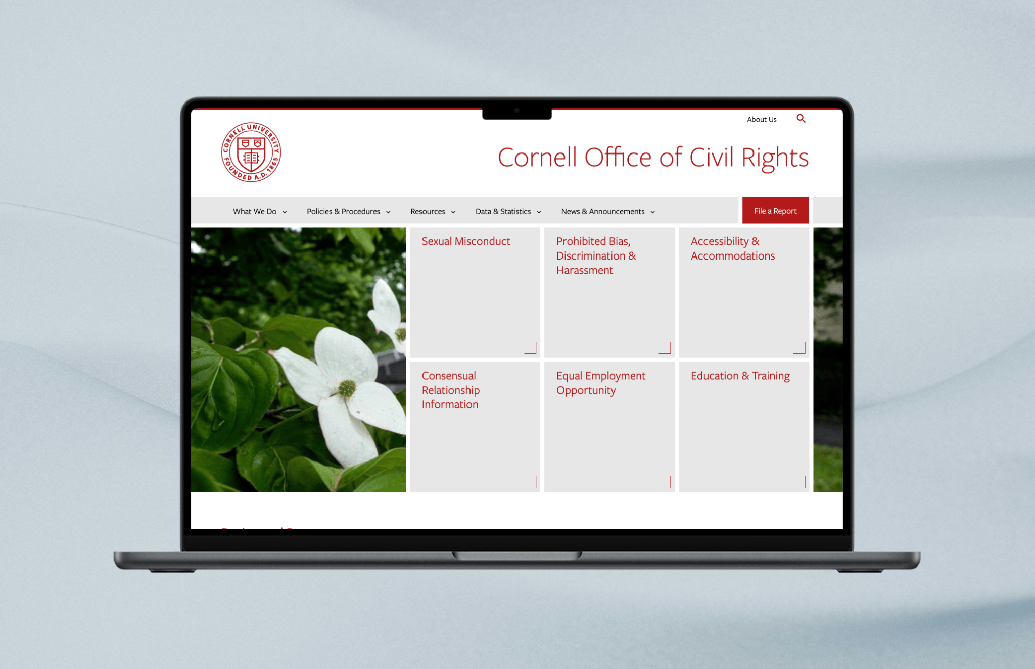 Cornell University Office of Civil Rights