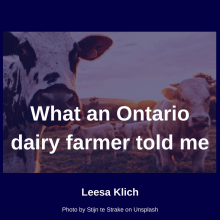 What an Ontario dairy farmer told me, and a bit about Canada’s “Moo U”