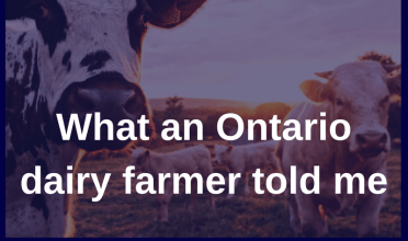 What an Ontario dairy farmer told me, and a bit about Canada’s “Moo U”