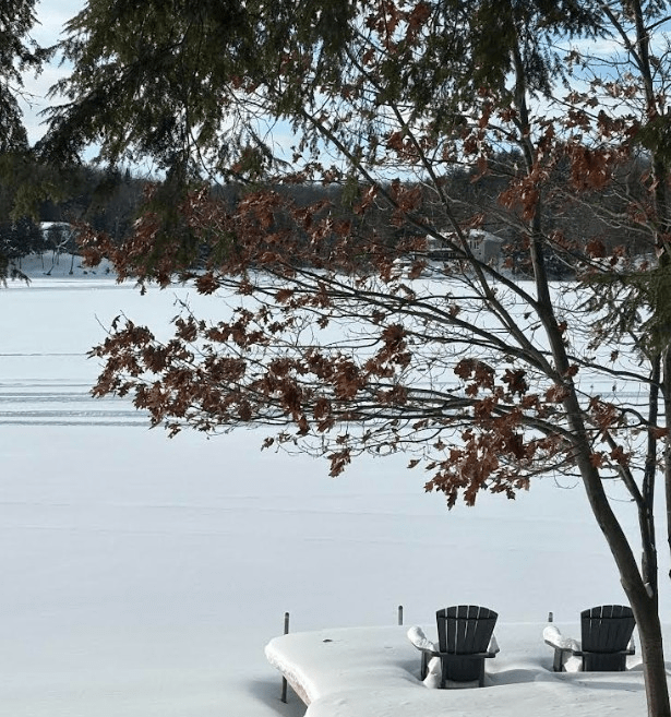 Maple tree on a frozen lake