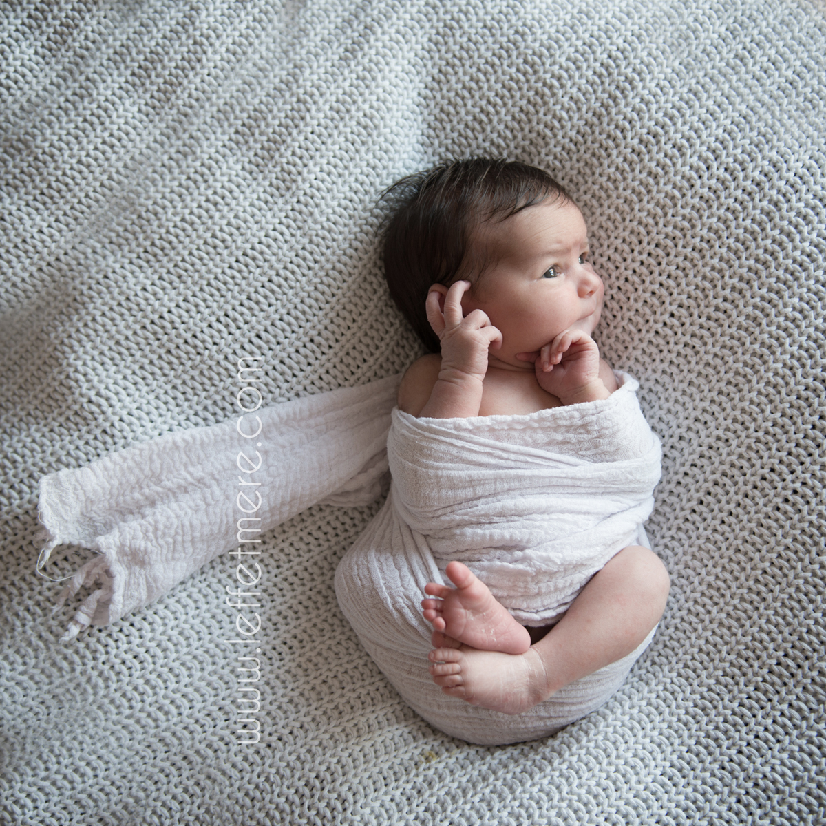 photographe naissance montauban