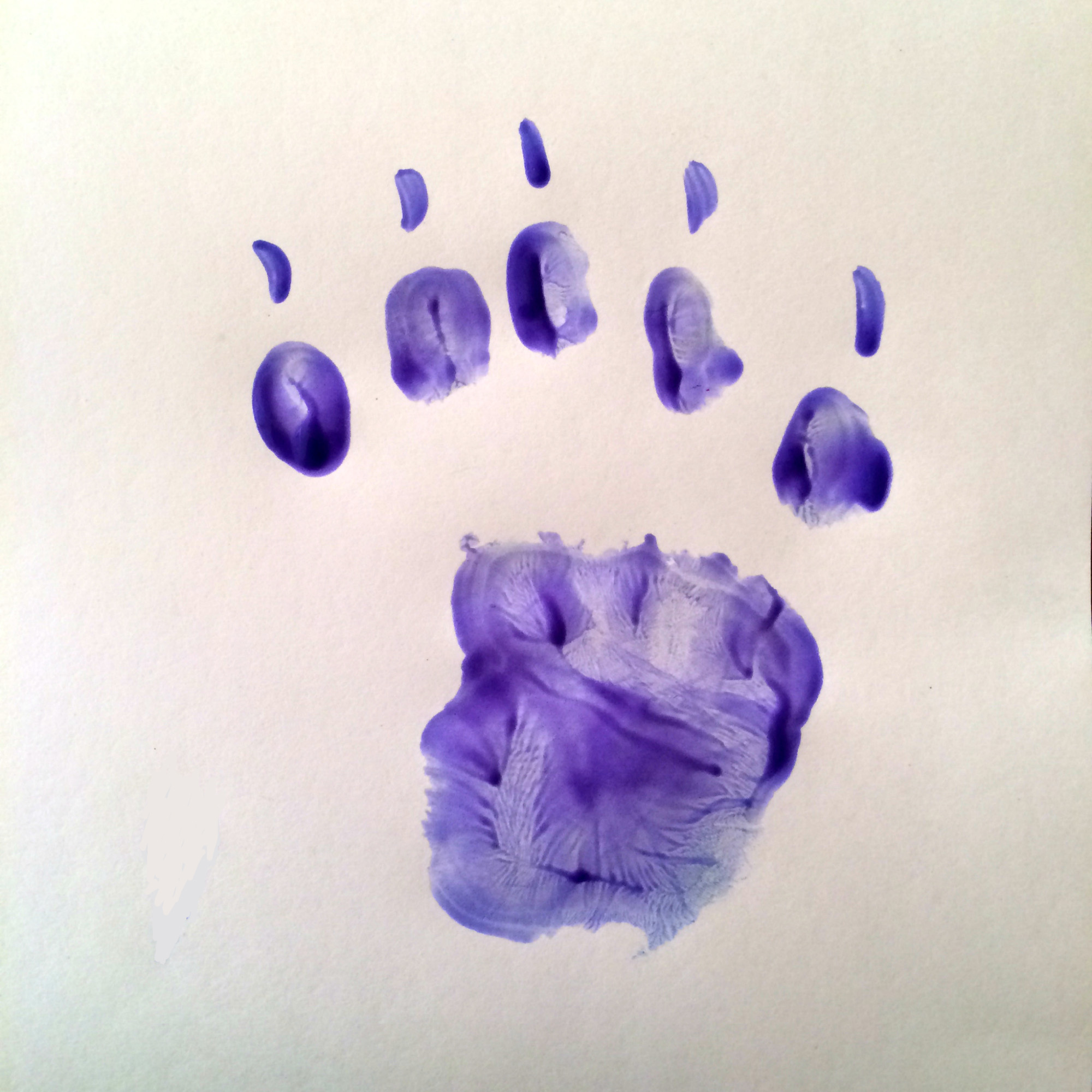 Learning about animals: animal track hand prints