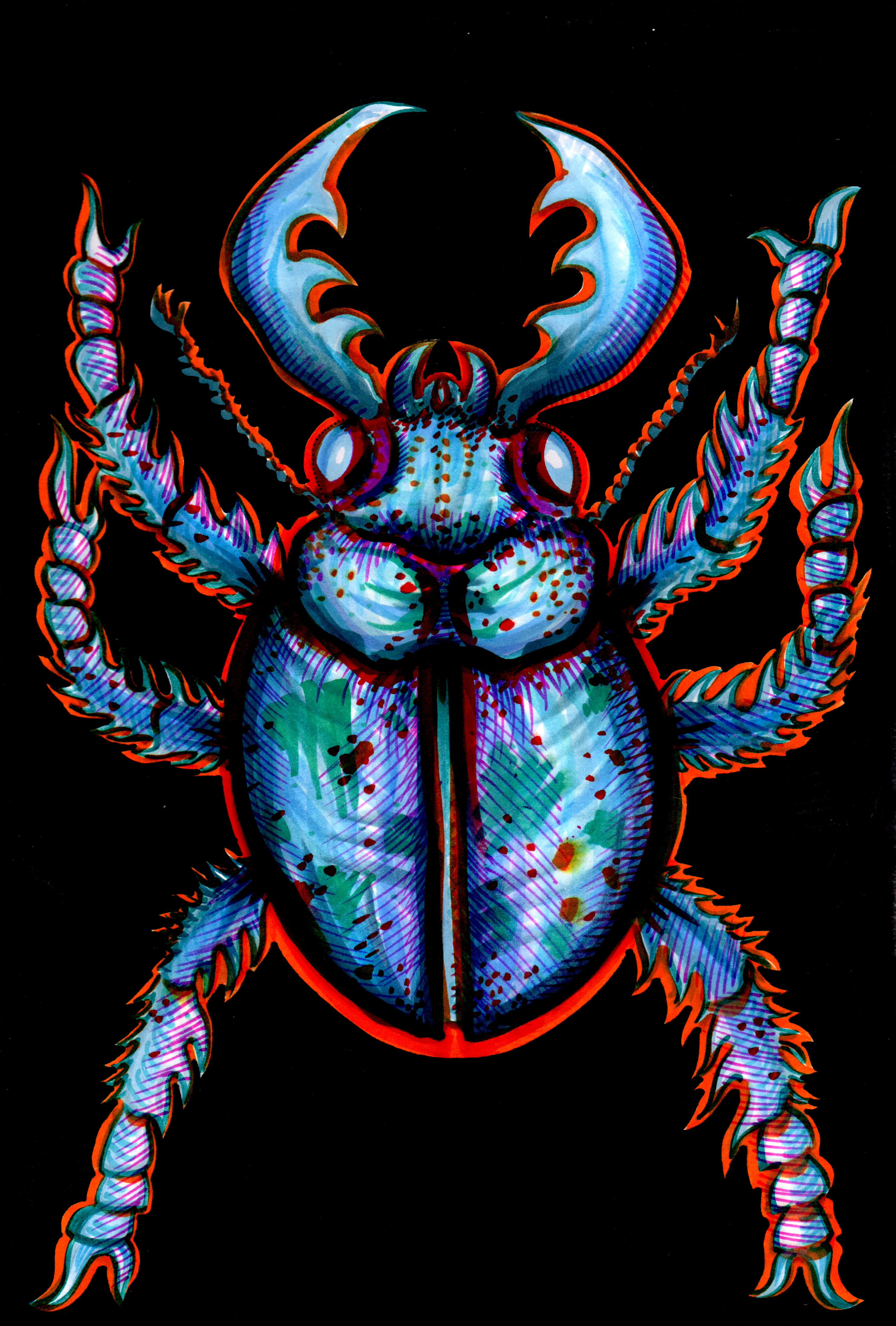 CARABIDAE: PINCERS POISED AND GLEAMING