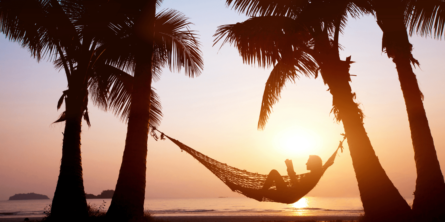 Legal Lotus - Family and Trial Attorneys