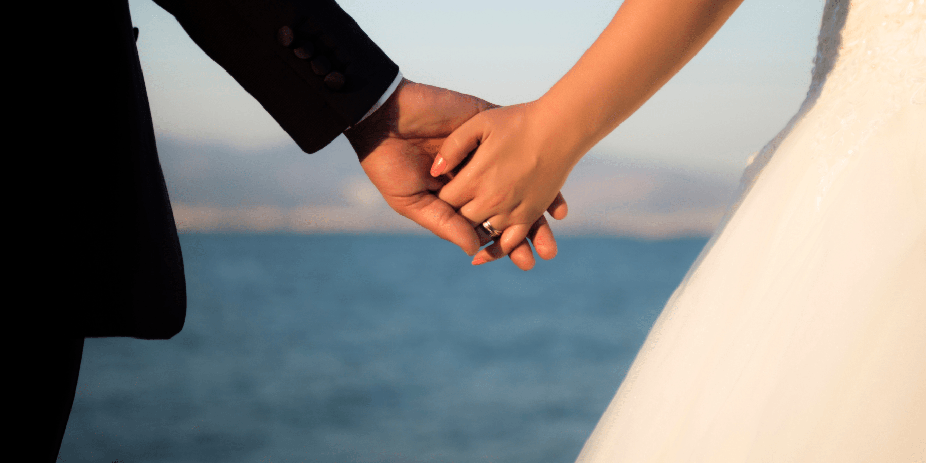 Legal Lotus - Family and Trial Attorneys