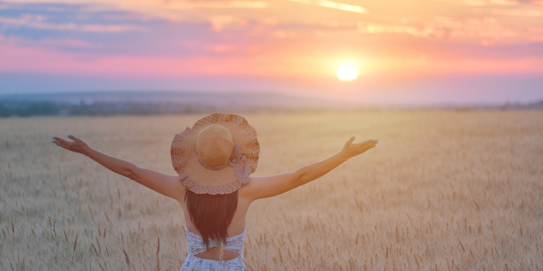 Legal Lotus - Family and Trial Attorneys