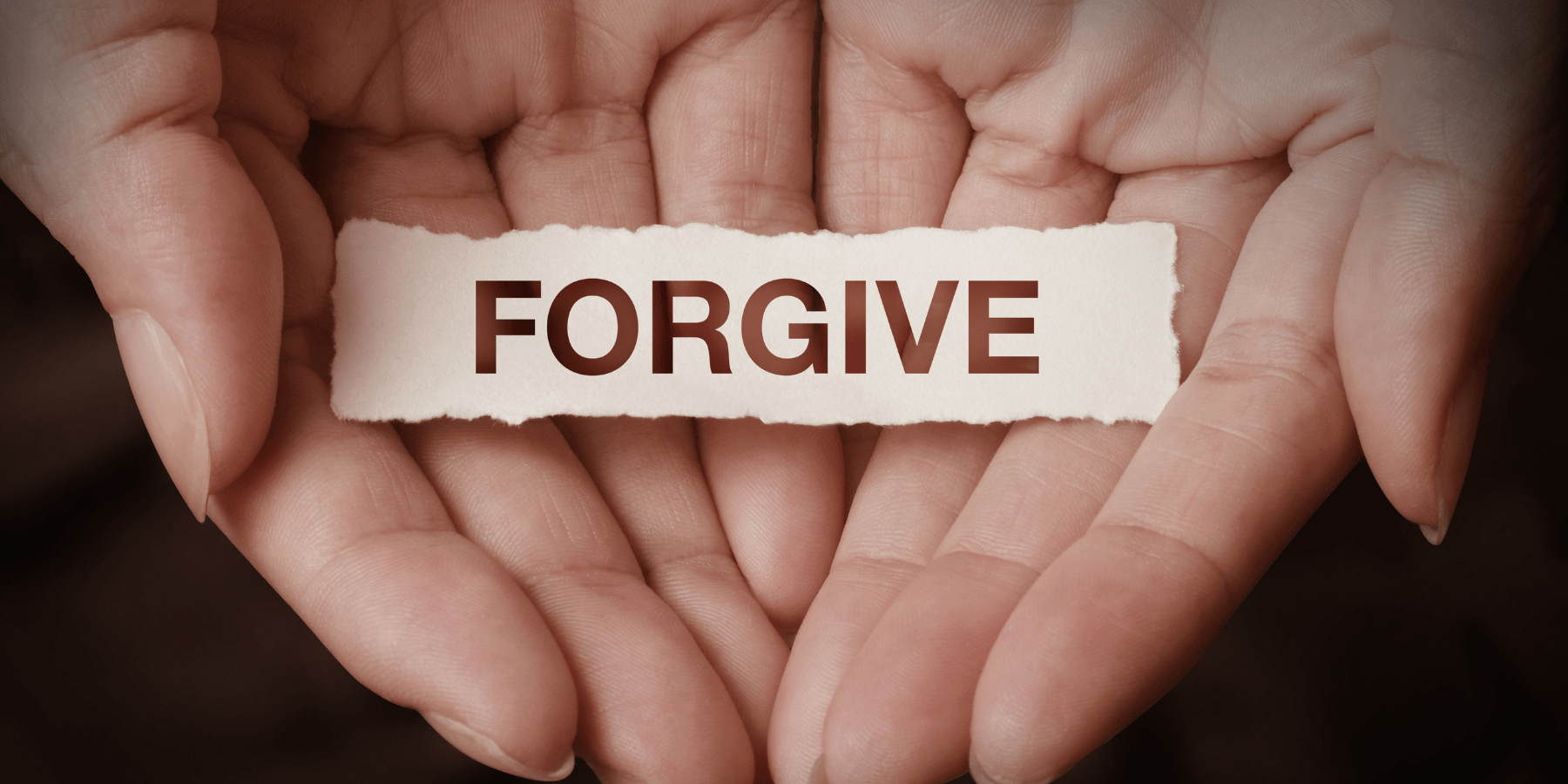 Legal Lotus - Family and Trial Attorneys