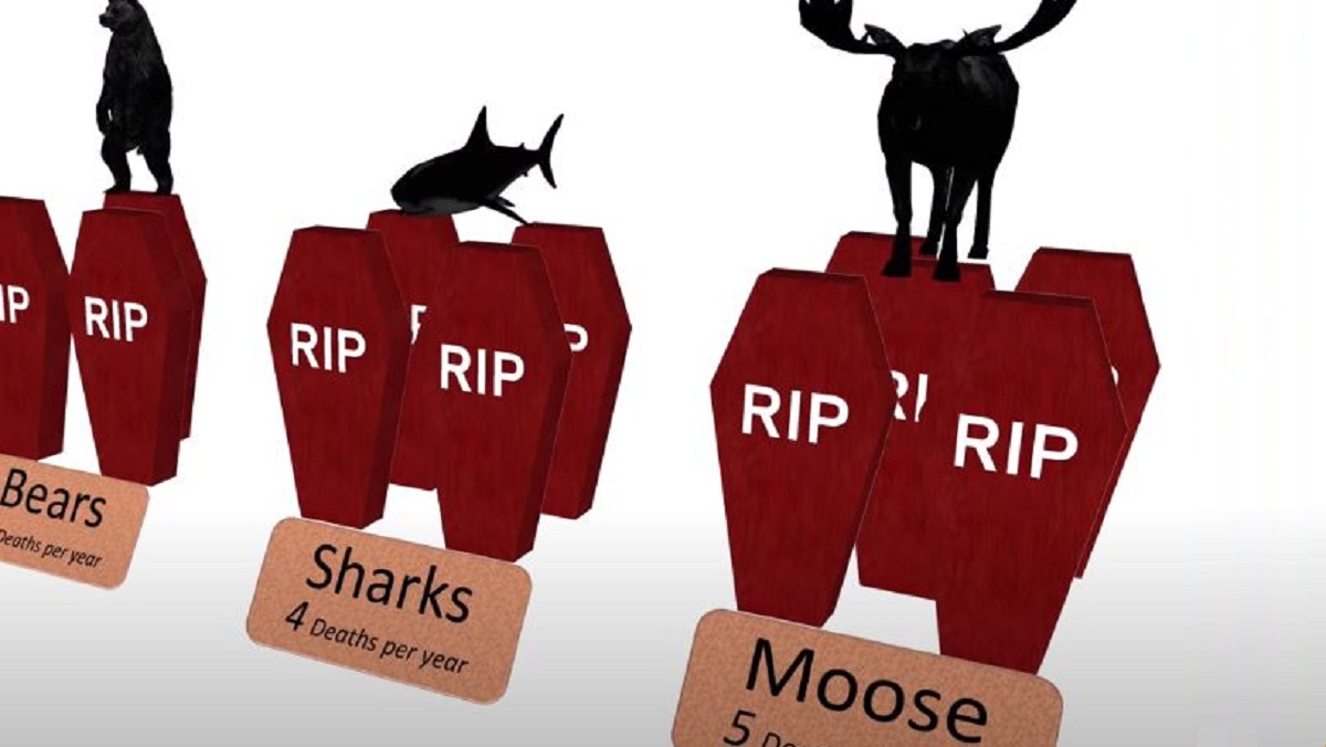 These deadly animals kill the most humans each year