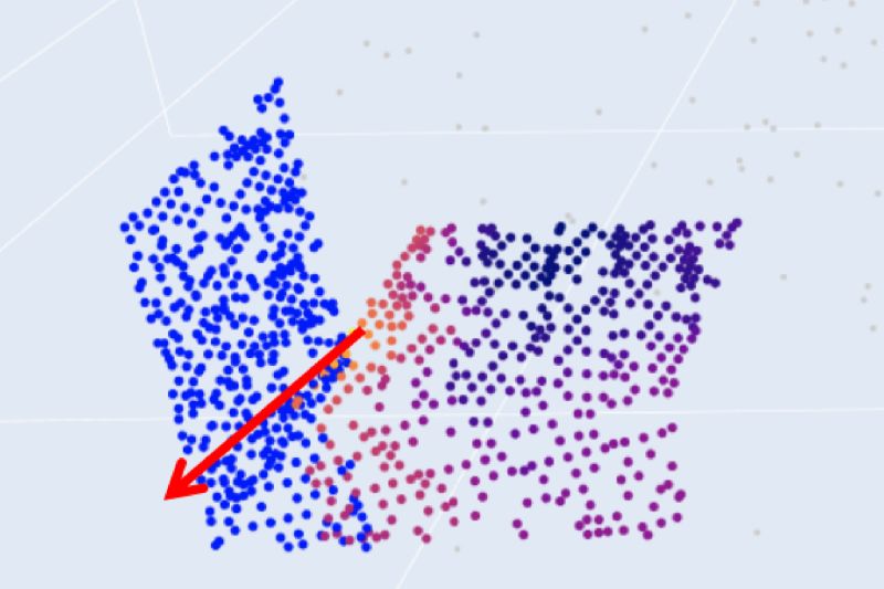Visual Manipulation With Legs - Nature Image Collection - Ultra HD Quality