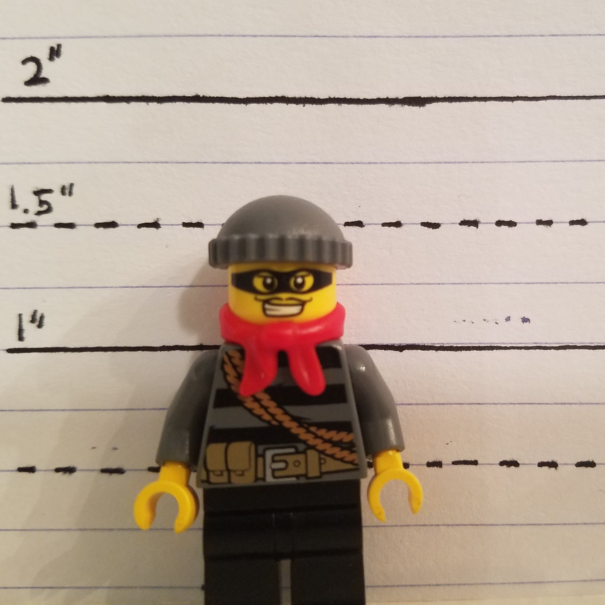 burglar-face