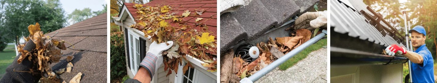 Gutter Cleaning