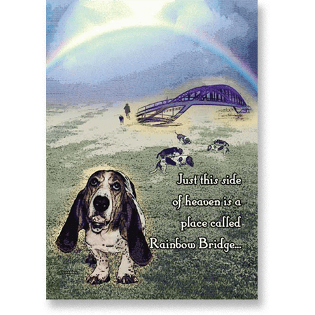 Bassetcards-sympathy