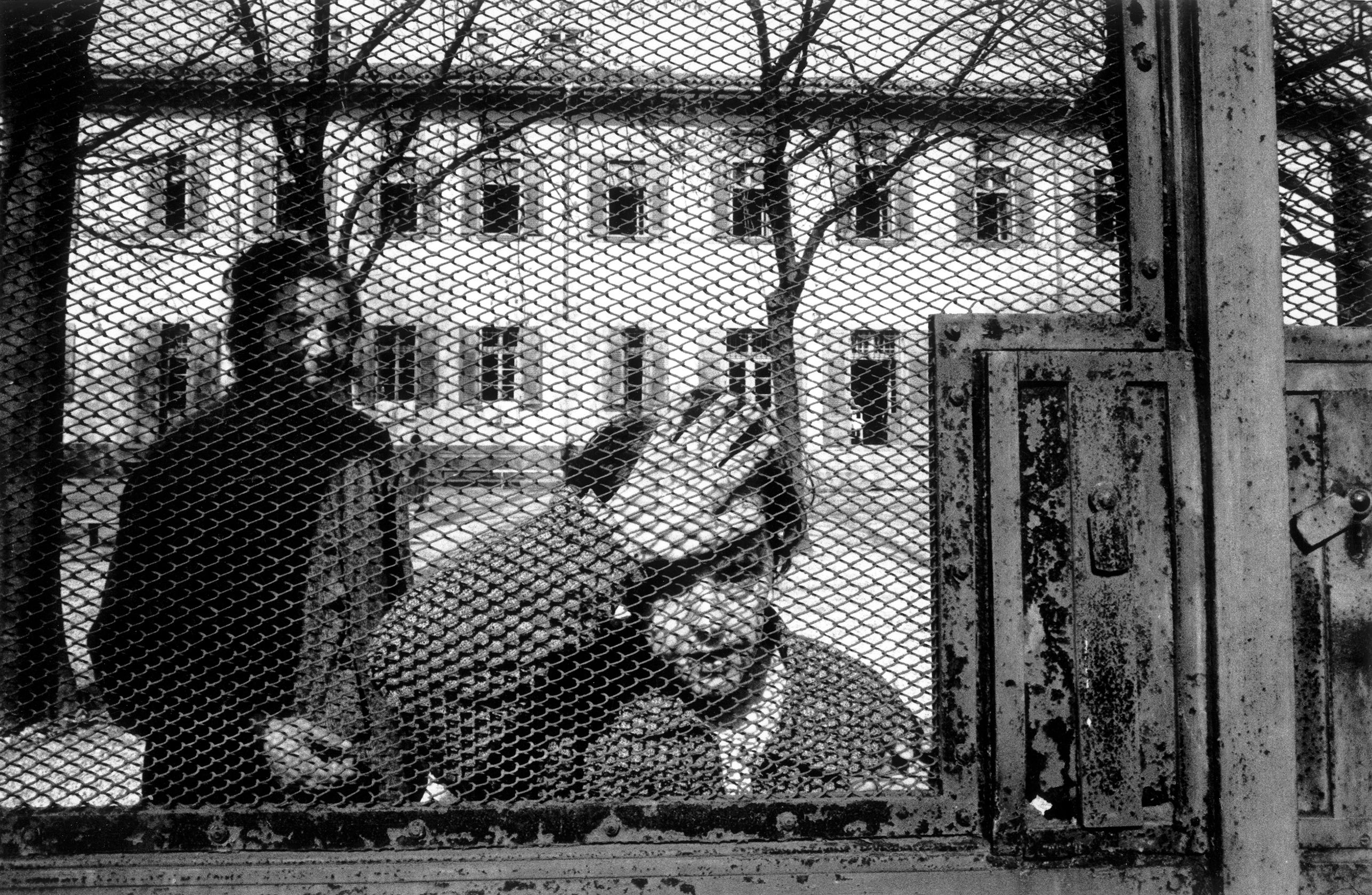 © Gianni Berengo Gardin