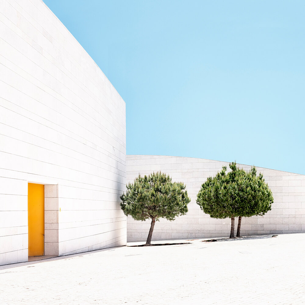 Three Trees