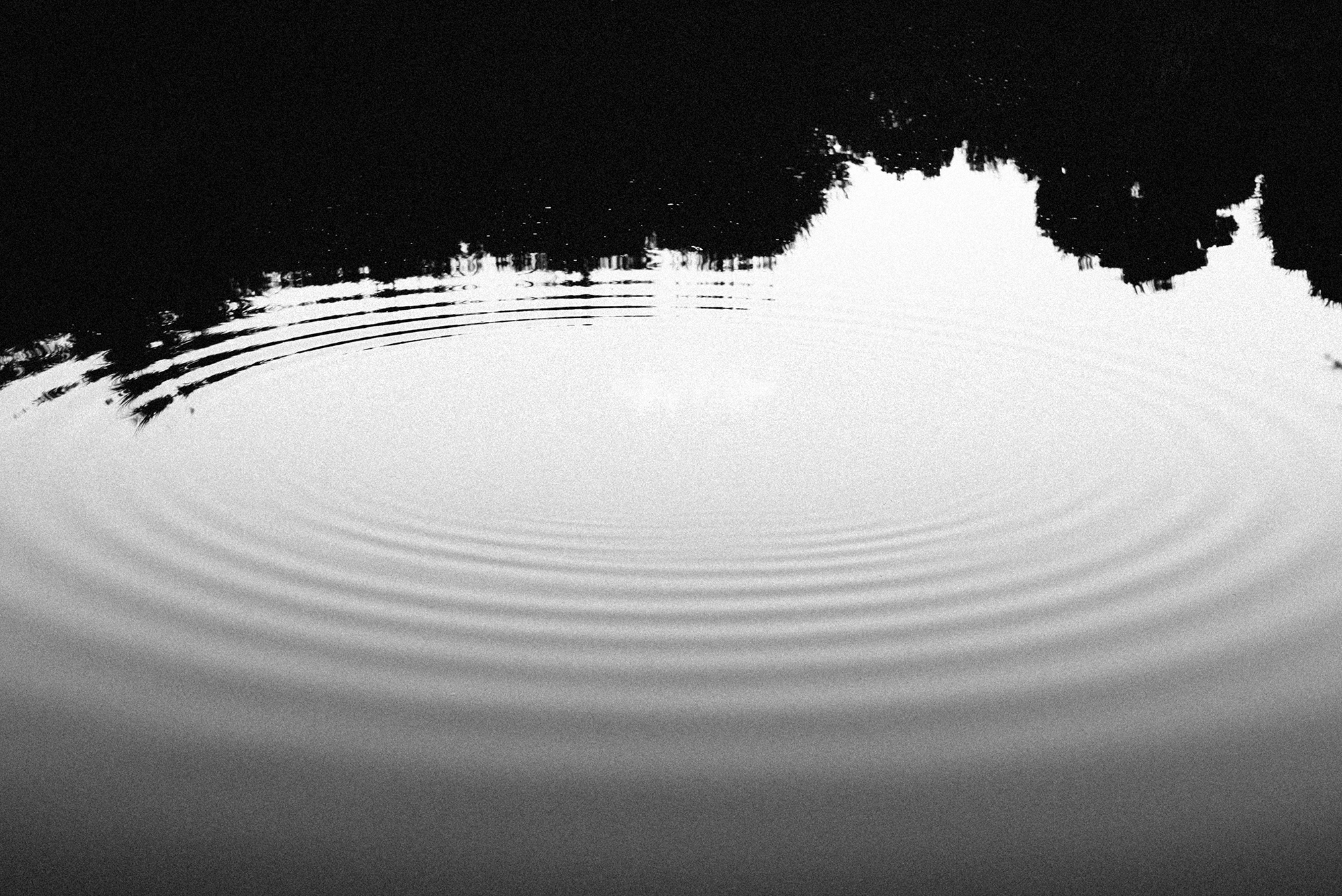 Finding style and voice in photography - The Leica camera Blog