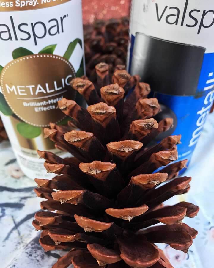 PineConePrep