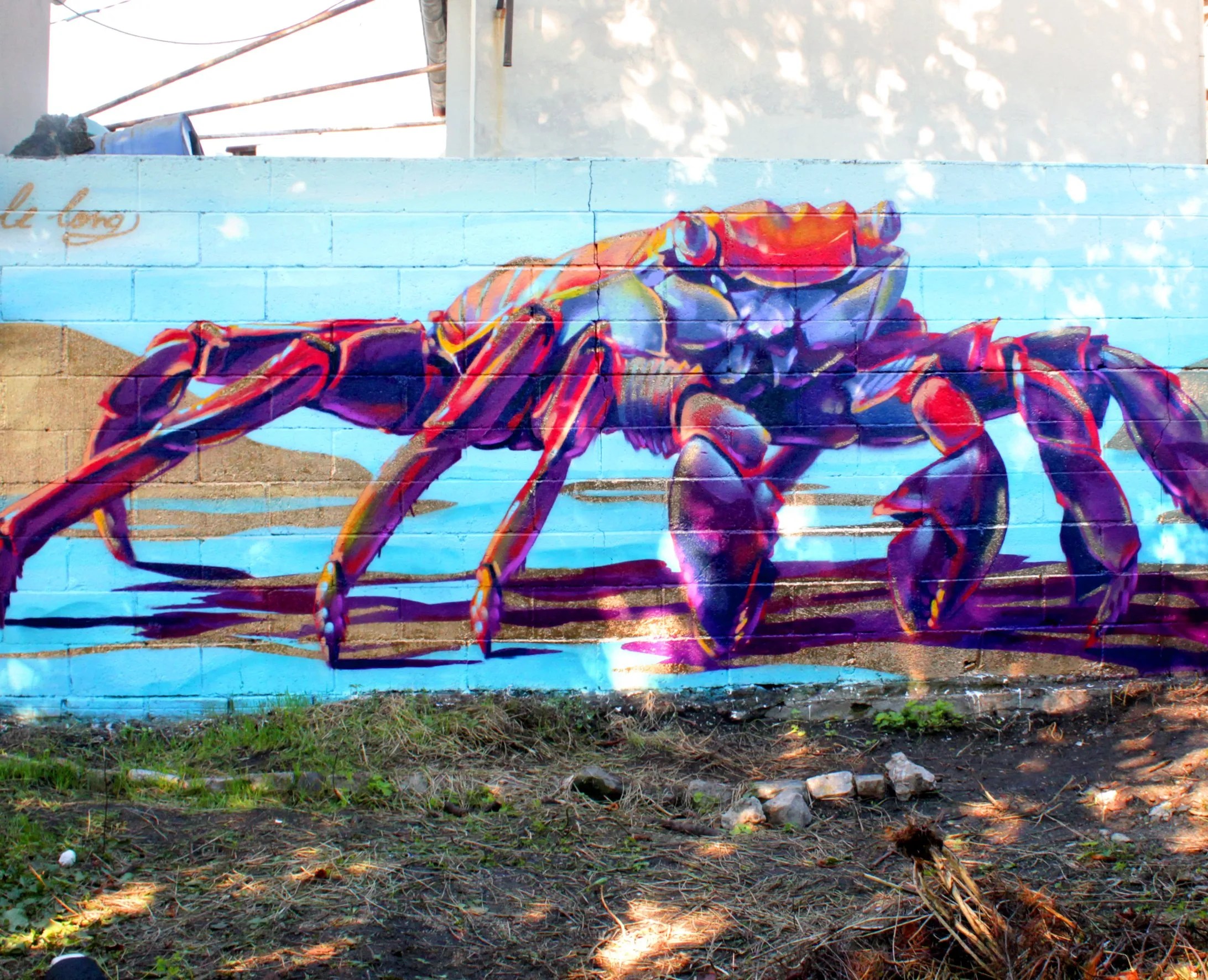 Cassius le Crabe LeLong Street Art Fresques Graffitis Tags Cadeau Original