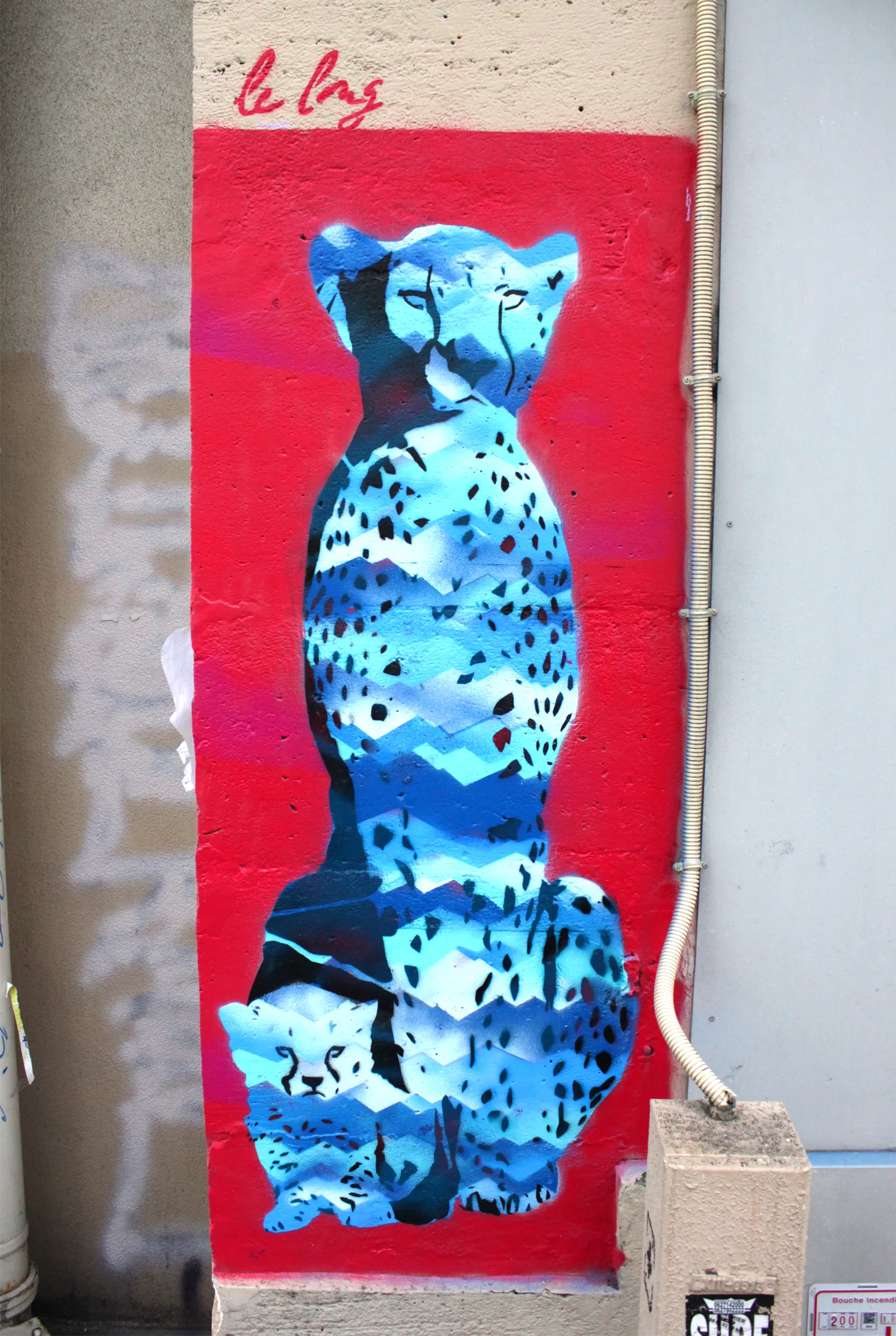 Guépards 1 Le Long Street Art Fresques Graffitis Tags Cadeau Original