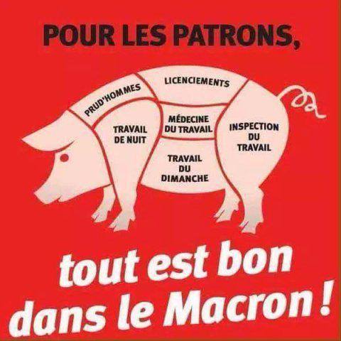 macron_cochon