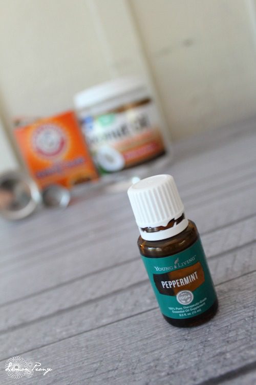 Peppermint dog toothpaste