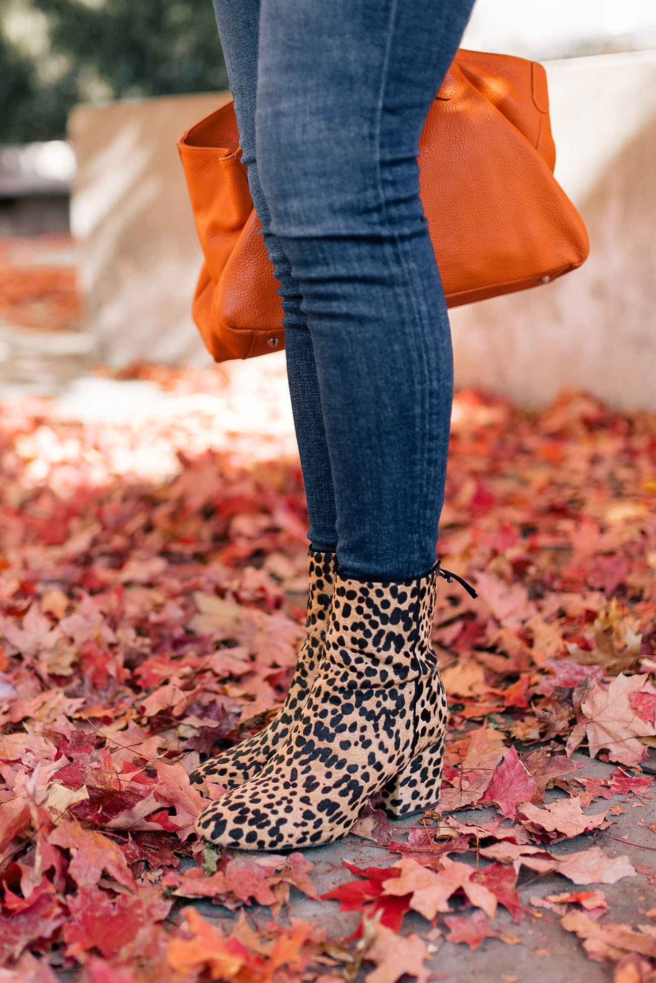 j crew leopard booties