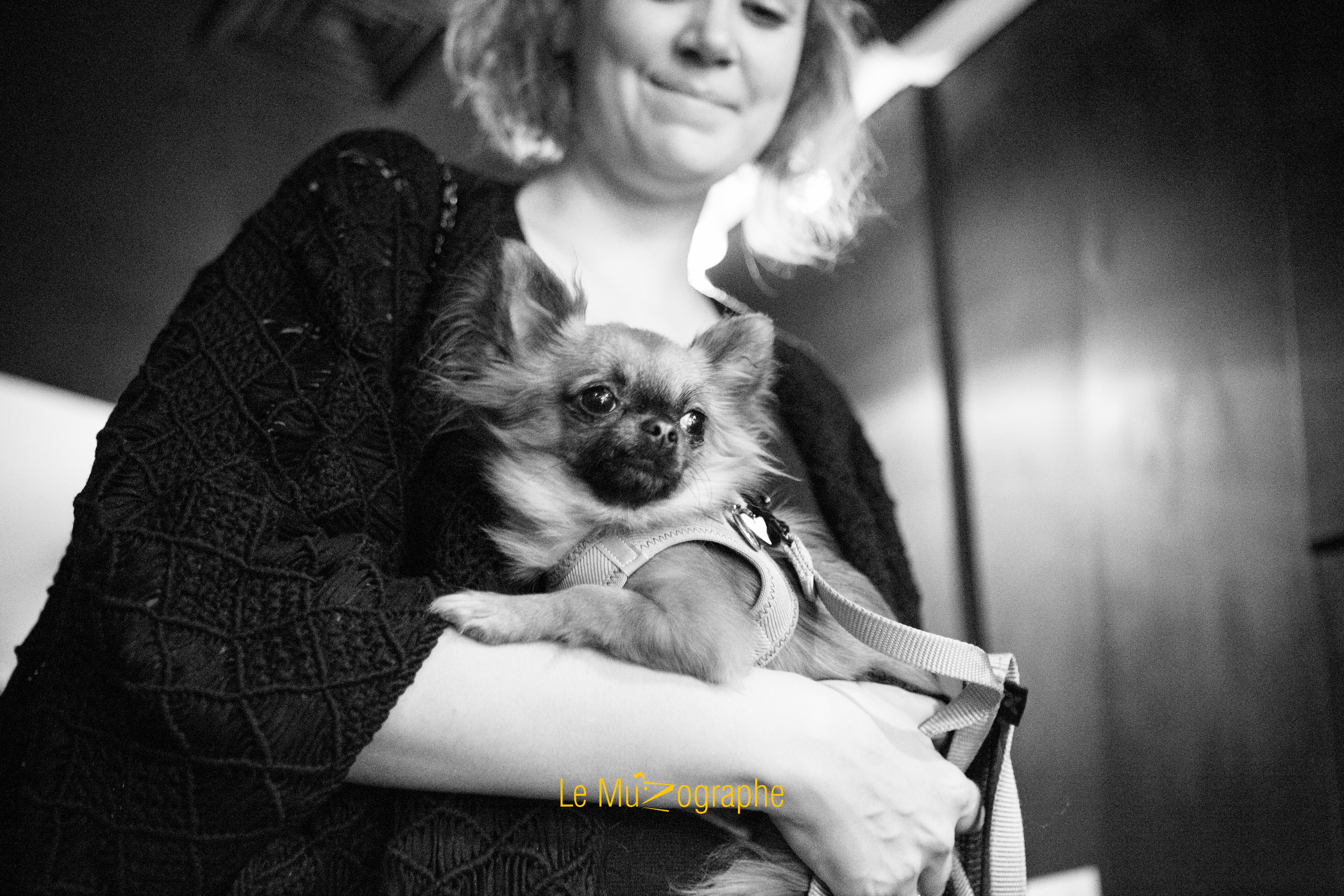 Harper © Le MuZographe