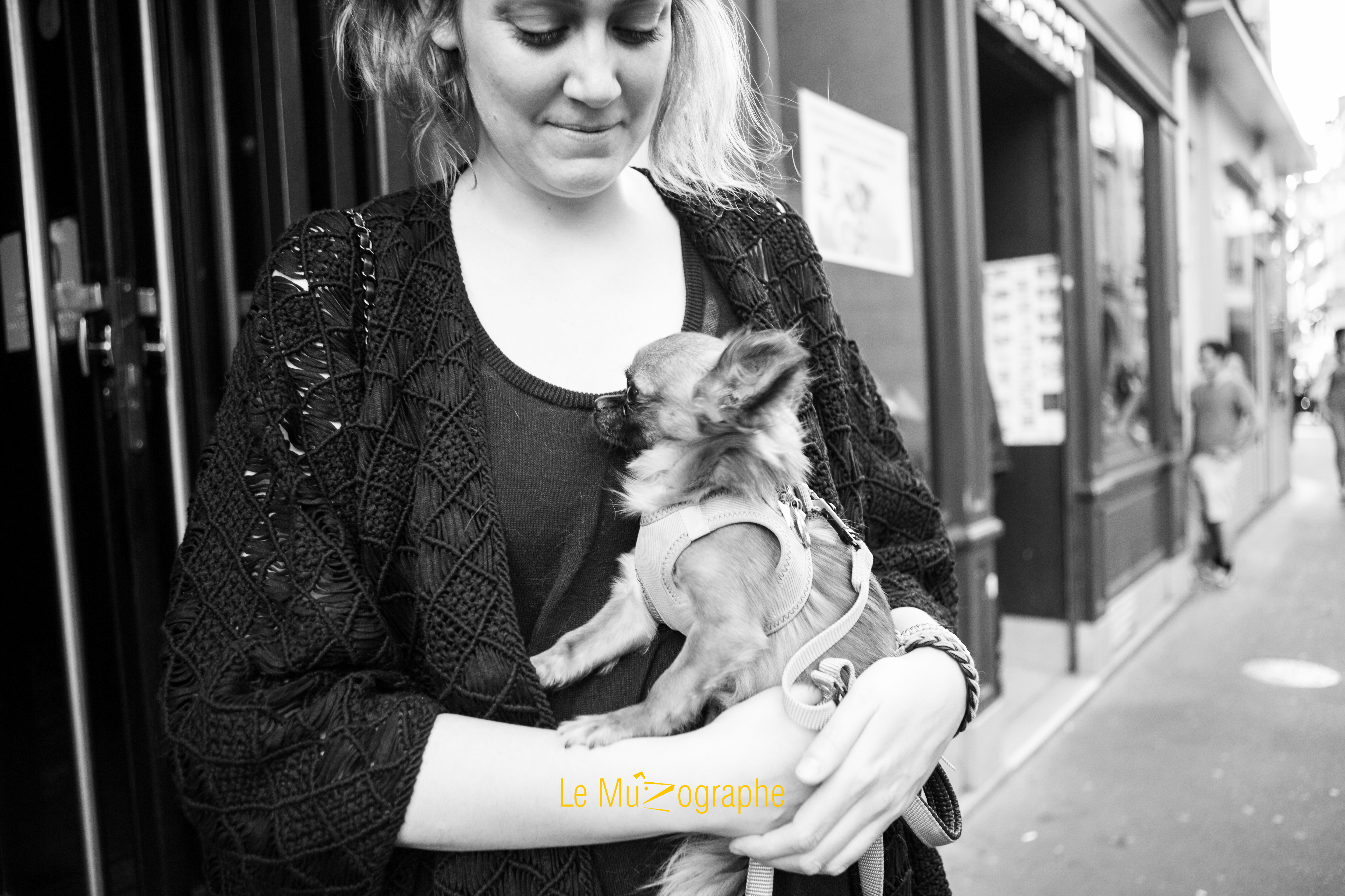 Harper © Le MuZographe