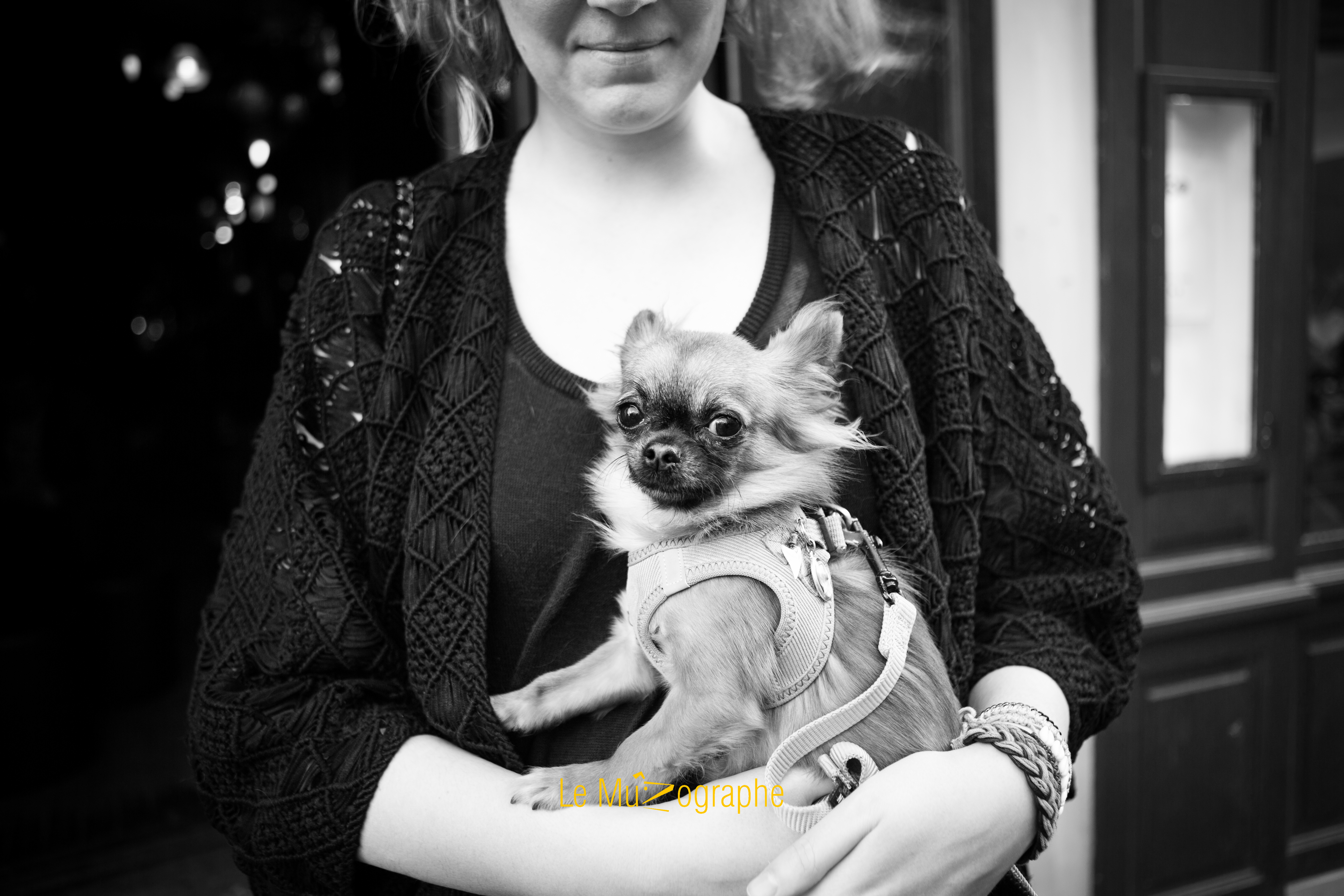 Harper © Le MuZographe