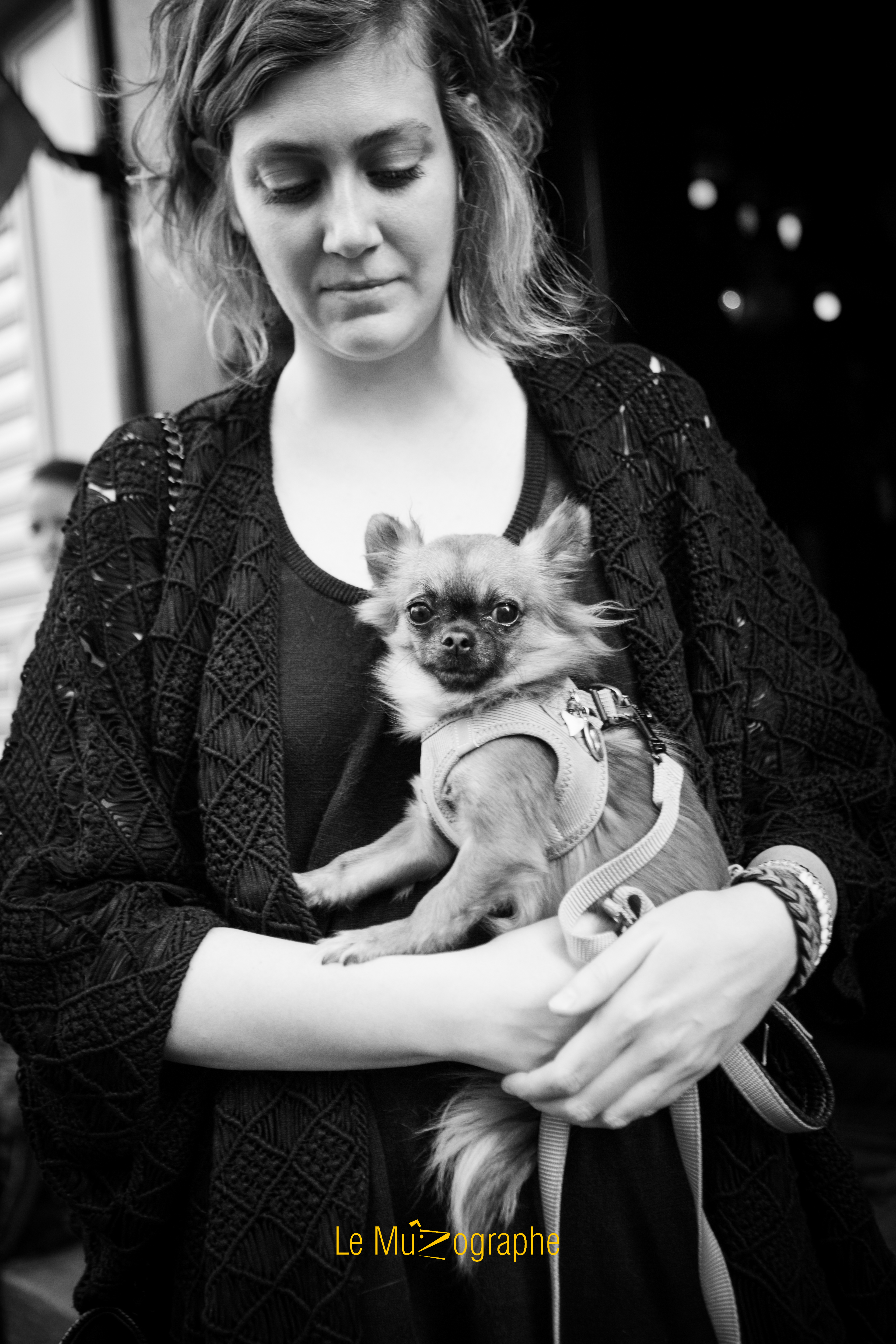 Harper © Le MuZographe